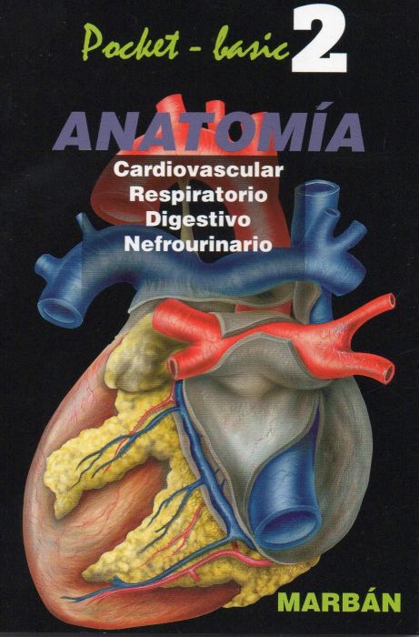2. ANATOMIA - CARDIOVASCULAR RESPIRATORIO DIGESTIVO NEFROURINARIO 