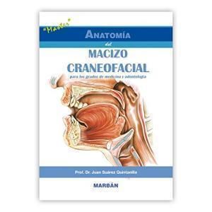 ANATOMIA DEL MACIZO CRANEOFACIAL 