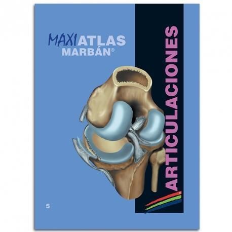 5. ARTICULACIONES