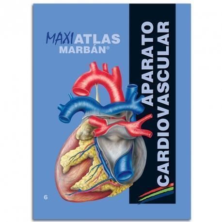 6. APARATO CARDIOVASCULAR