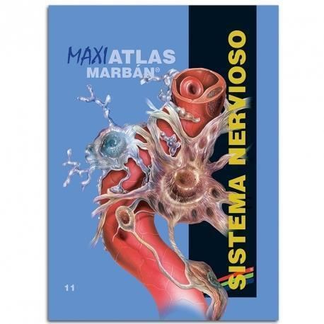 11. SISTEMA NERVIOSO