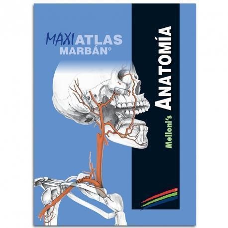 15. MELLONI´S ANATOMIA 