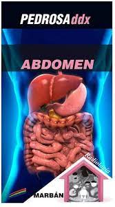ABDOMEN DDX