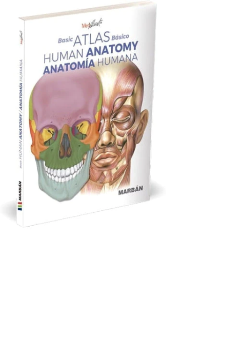 Basic Atlas Anatomy (Español-Inglés)