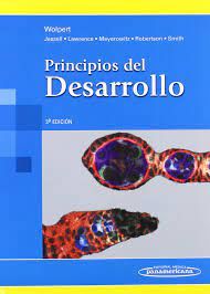 PRINCIPIOS DEL DESARROLLO 3º ED