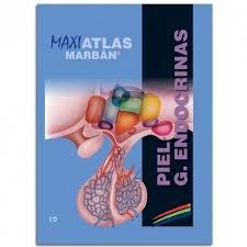 10. PIEL - GLANDULAS ENDOCRINAS