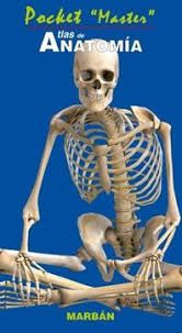 ATLAS DE ANATOMIA POCKET 
