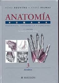 ANATOMIA HUMANA 11º ED T3 