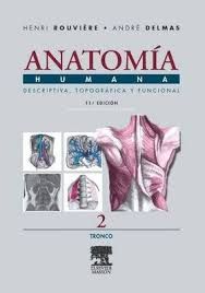 ANATOMIA HUMANA 11º ED T2 