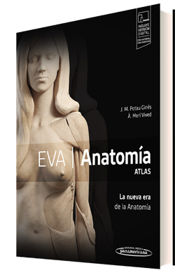 EVA Anatomía. Atlas La nueva era de la Anatomía