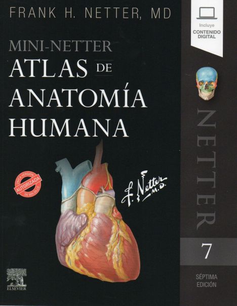 MINI NETTER ATLAS DE ANATOMIA 7º ED. 