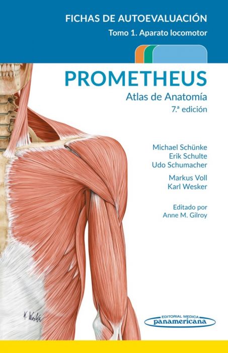 PROMETHEUS. Atlas de Anatomía. Fichas de autoevaluación Tomo 1: Aparato Locomotor