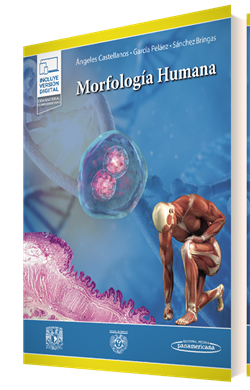 Morfología Humana + Ebook