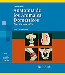 ANATOMIA DE LOS ANIMALES DOMESTICOS TOMO 1 2º ED. 