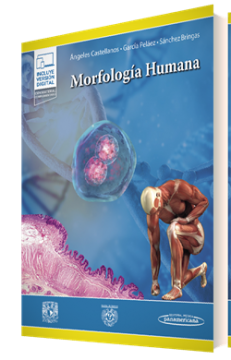 Morfología Humana + Ebook