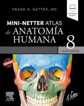 Mini-Netter. Atlas de anatomía humana Edición 8 